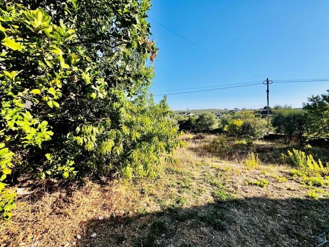 Moradia T3 para Venda em Madalena e Beselga Foto 33