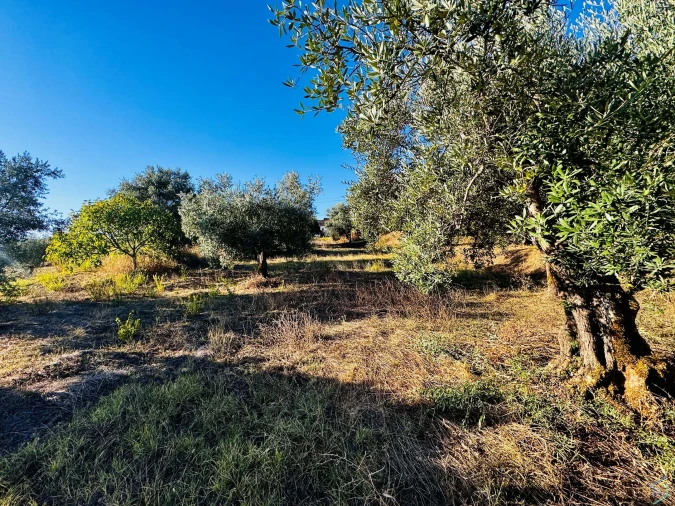 Moradia T3 para Venda em Madalena e Beselga Foto 30