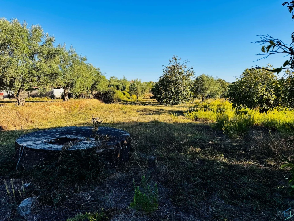 Moradia T3 para Venda em Madalena e Beselga Foto 28