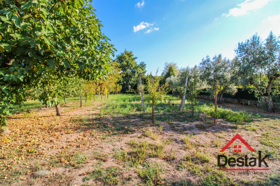 Quinta T5 para Venda em Alcafache Foto 37