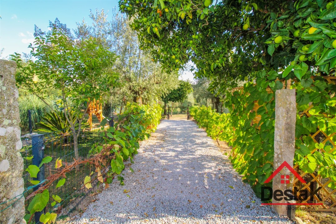 Quinta T5 para Venda em Alcafache Foto 31