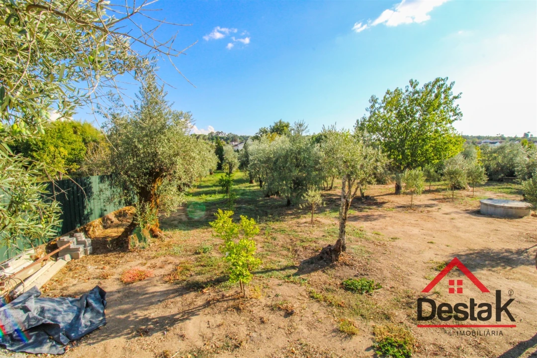 Quinta T5 para Venda em Alcafache Foto 35