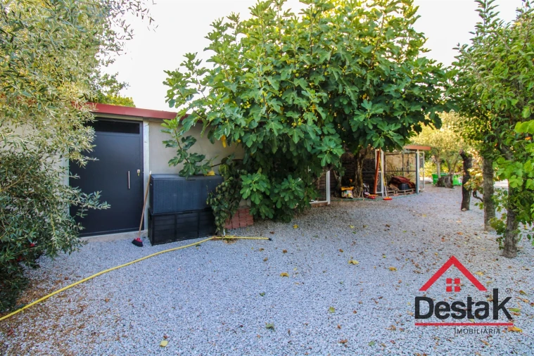 Quinta T5 para Venda em Alcafache Foto 33