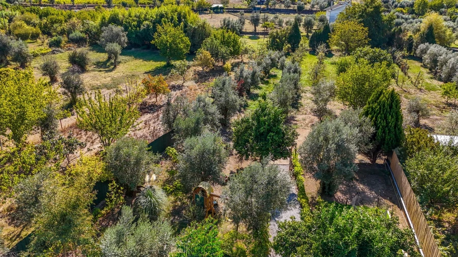 Quinta T5 para Venda em Alcafache Foto 61