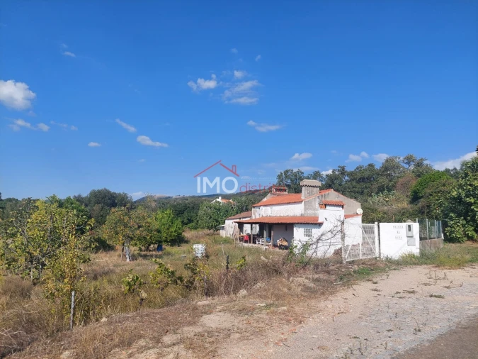 Quinta T0 para Venda em Ribeira de Nisa e Carreiras Foto 21