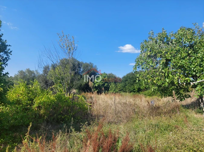 Quinta T0 para Venda em Ribeira de Nisa e Carreiras Foto 3