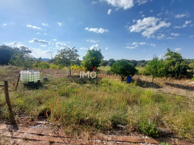 Quinta T0 para Venda em Ribeira de Nisa e Carreiras Foto 7