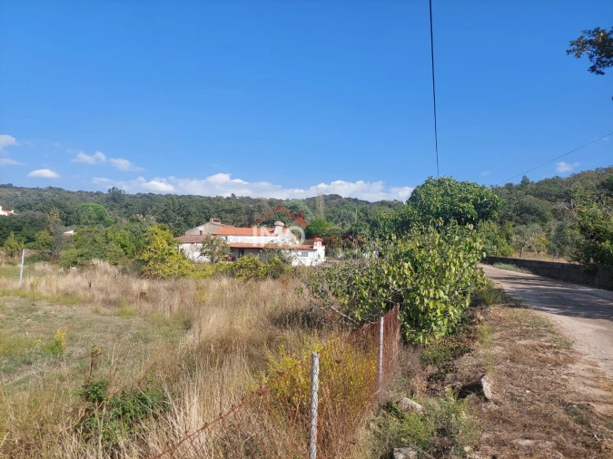 Quinta T0 para Venda em Ribeira de Nisa e Carreiras Foto 23