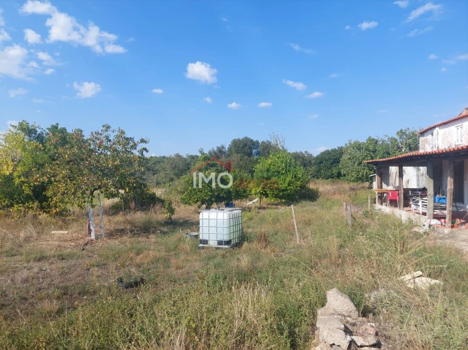 Quinta T0 para Venda em Ribeira de Nisa e Carreiras Foto 17