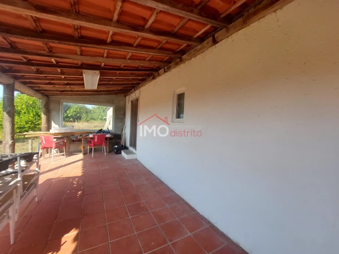 Quinta T0 para Venda em Ribeira de Nisa e Carreiras Foto 16