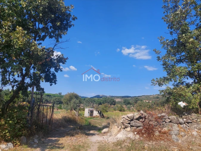 Quinta T0 para Venda em Ribeira de Nisa e Carreiras Foto 26