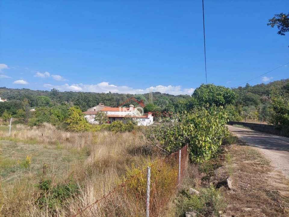 Quinta T0 para Venda em Ribeira de Nisa e Carreiras Foto 23