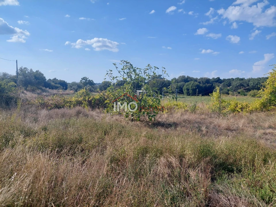 Quinta T0 para Venda em Ribeira de Nisa e Carreiras Foto 18