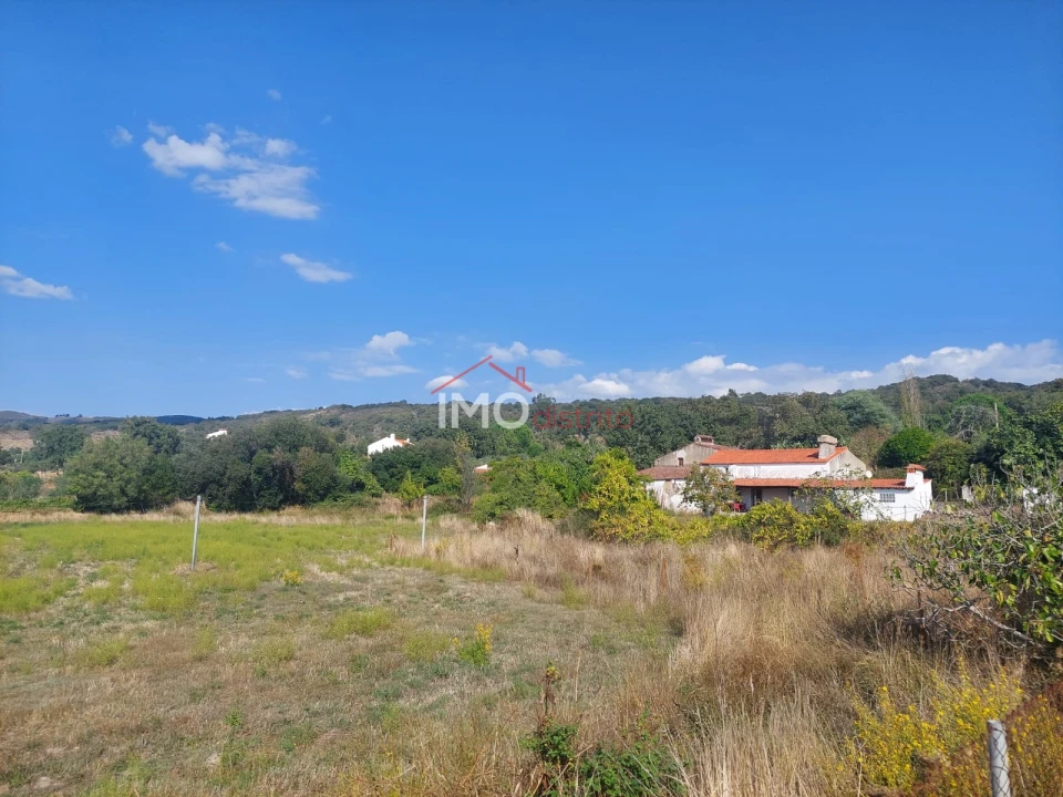 Quinta T0 para Venda em Ribeira de Nisa e Carreiras Foto 25