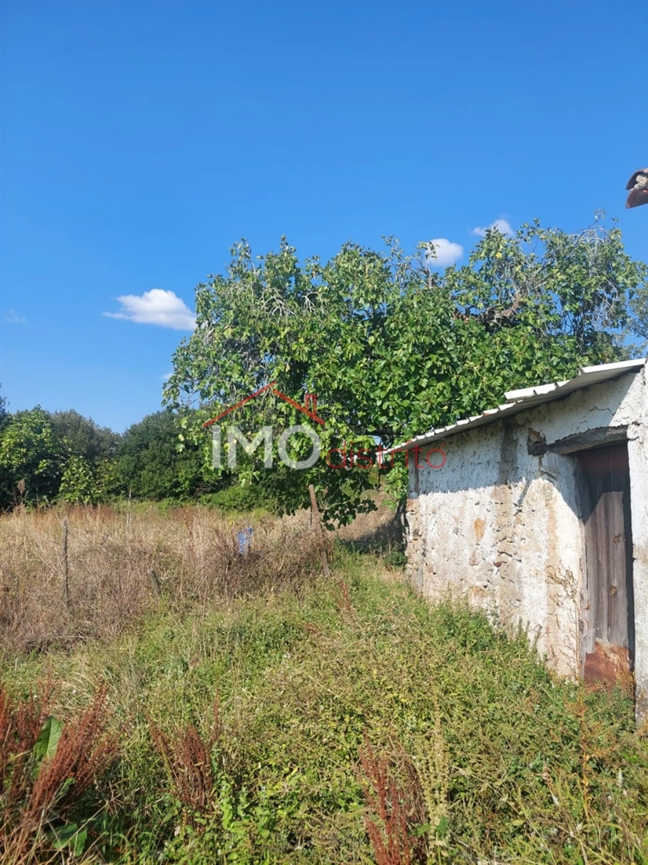 Quinta T0 para Venda em Ribeira de Nisa e Carreiras Foto 4