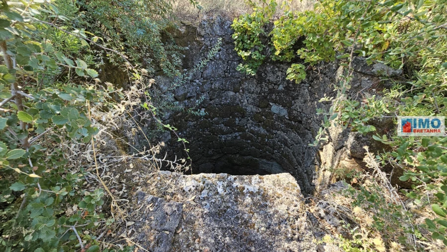 Terreno Agricola ou Rústico para Venda em Salgueiro do Campo Foto 3