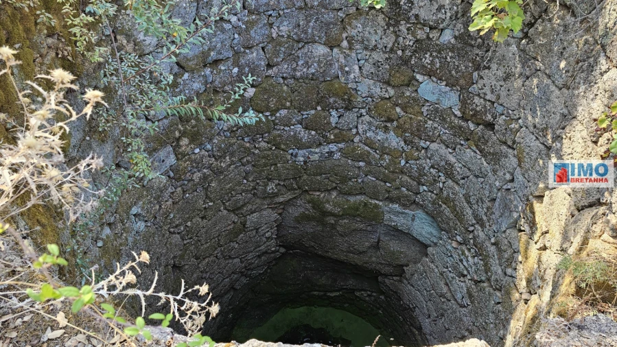 Terreno Agricola ou Rústico para Venda em Salgueiro do Campo Foto 4