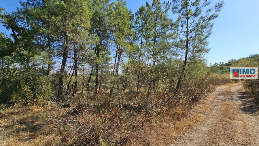 Terreno Agricola ou Rústico para Venda em Salgueiro do Campo Foto 20