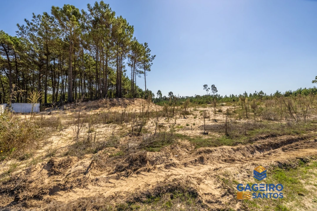 Terreno para Venda em Tornada e Salir do Porto Foto 18