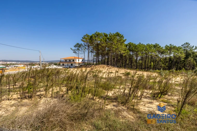 Terreno para Venda em Tornada e Salir do Porto Foto 14