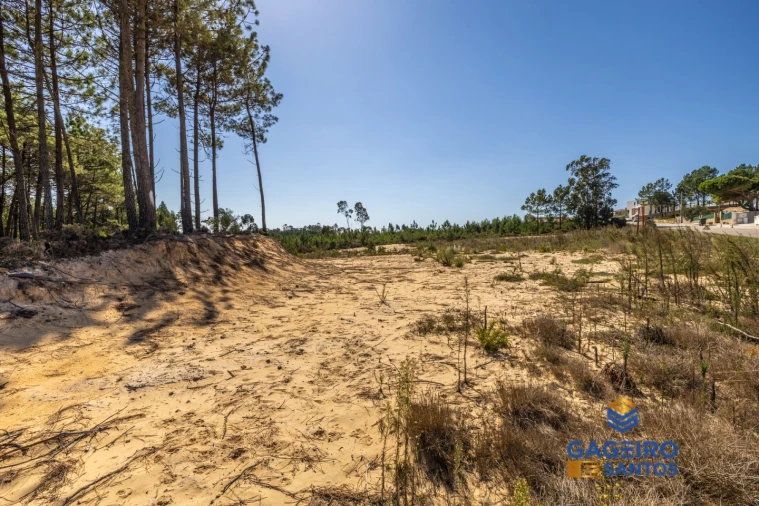 Terreno para Venda em Tornada e Salir do Porto Foto 15