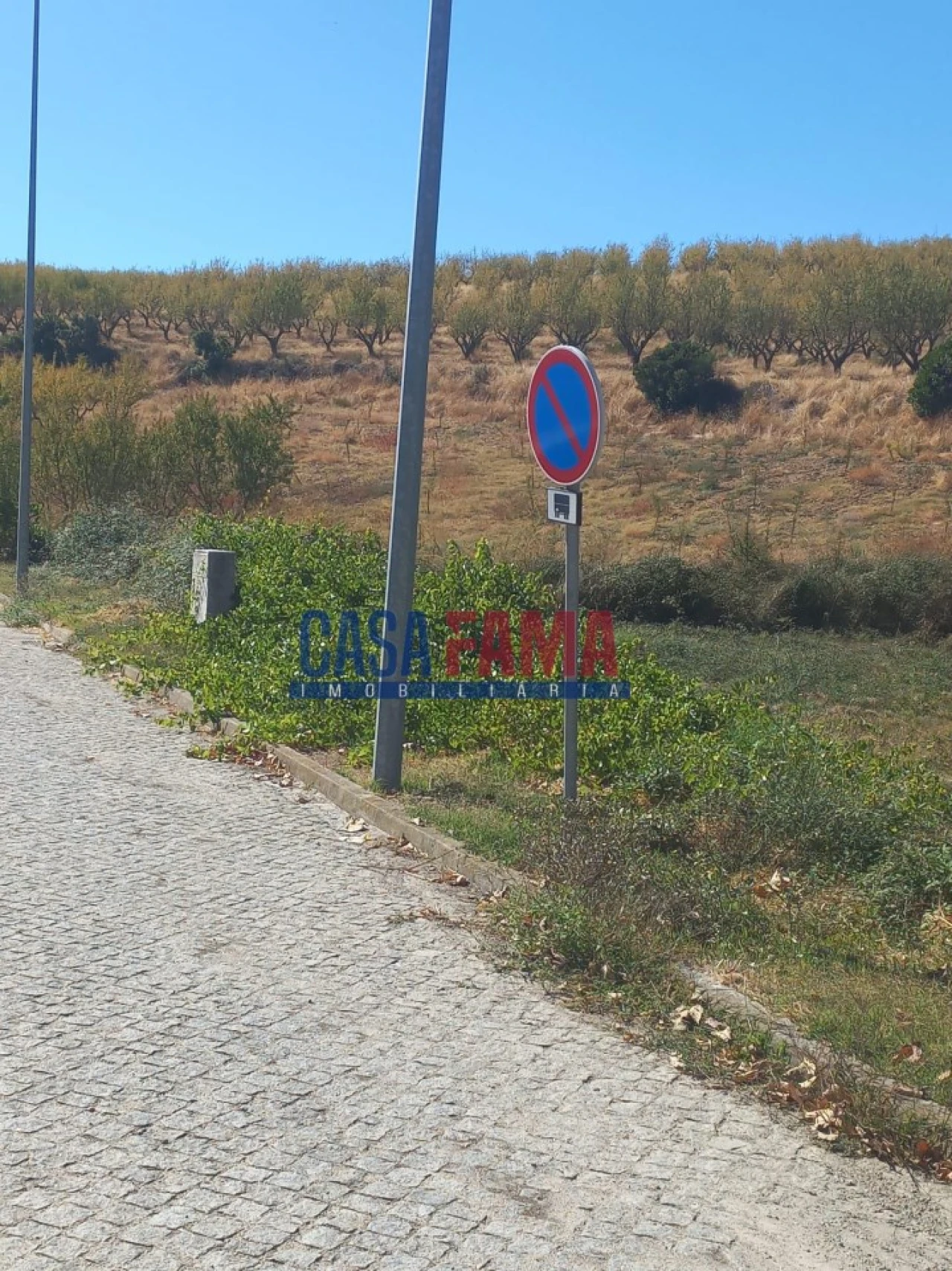 Terreno para Venda em Vila Flor e Nabo Foto 3