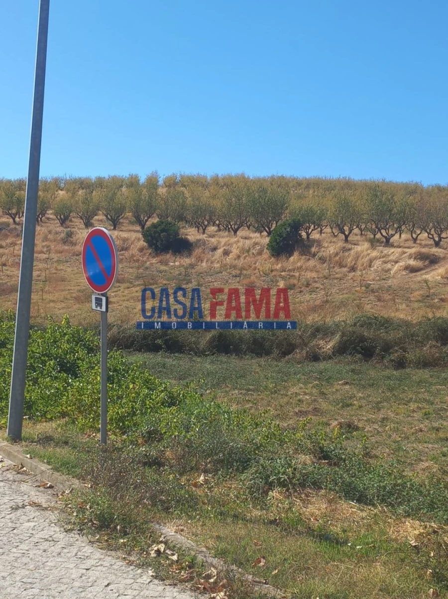 Terreno para Venda em Vila Flor e Nabo Foto 2