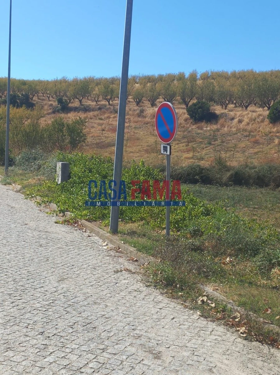 Terreno para Venda em Vila Flor e Nabo Foto 3