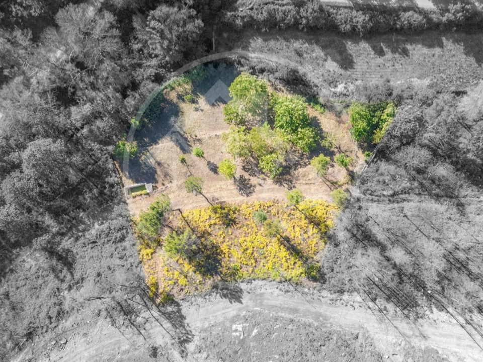Terreno Agricola ou Rústico para Venda em Bornes de Aguiar Foto 2
