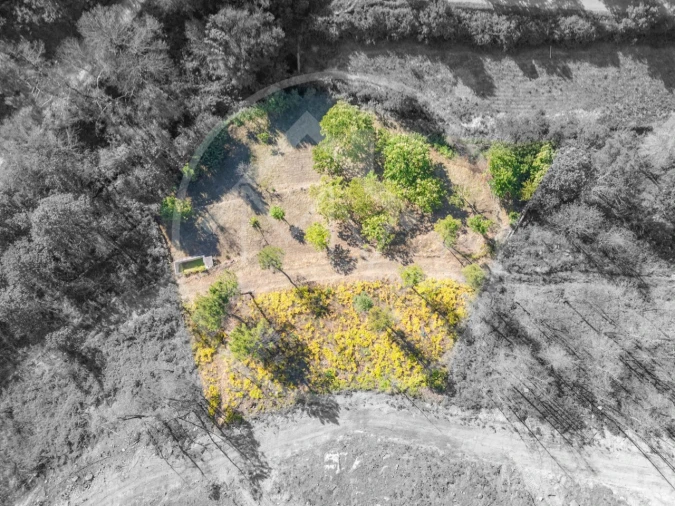 Terreno Agricola ou Rústico para Venda em Bornes de Aguiar Foto 2