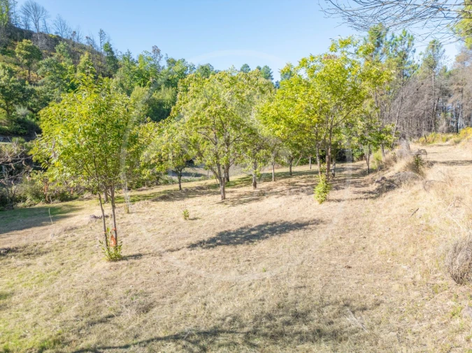 Terreno Agricola ou Rústico para Venda em Bornes de Aguiar Foto 3