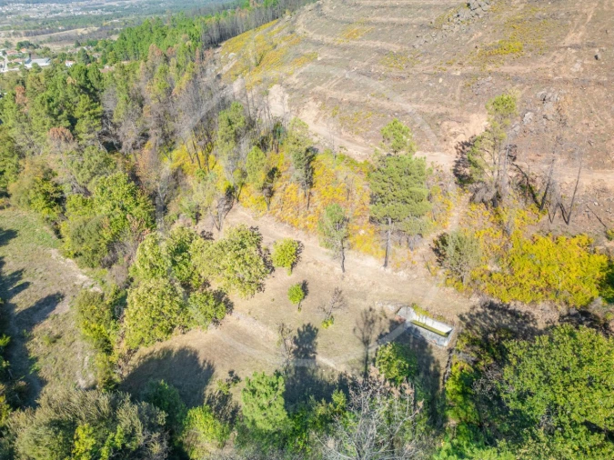 Terreno Agricola ou Rústico para Venda em Bornes de Aguiar Foto 4