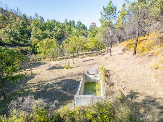 Terreno Agricola ou Rústico para Venda em Bornes de Aguiar Foto 5