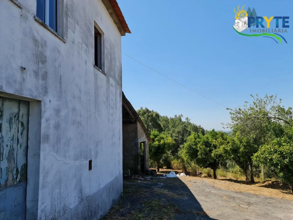 Quinta T3 para Venda em Cernache do Bonjardim, Nesperal e Palhais Foto 3