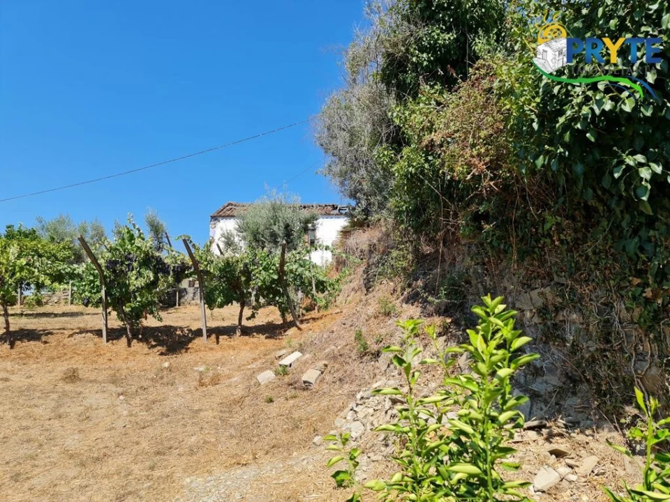 Quinta T3 para Venda em Cernache do Bonjardim, Nesperal e Palhais Foto 17