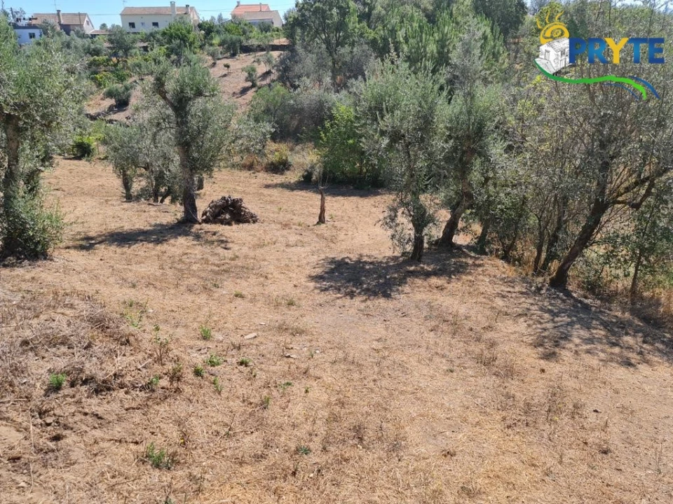 Quinta T3 para Venda em Cernache do Bonjardim, Nesperal e Palhais Foto 21