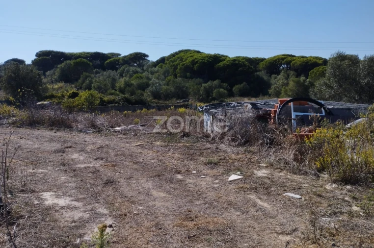 Terreno para Venda em São João das Lampas e Terrugem Foto 15