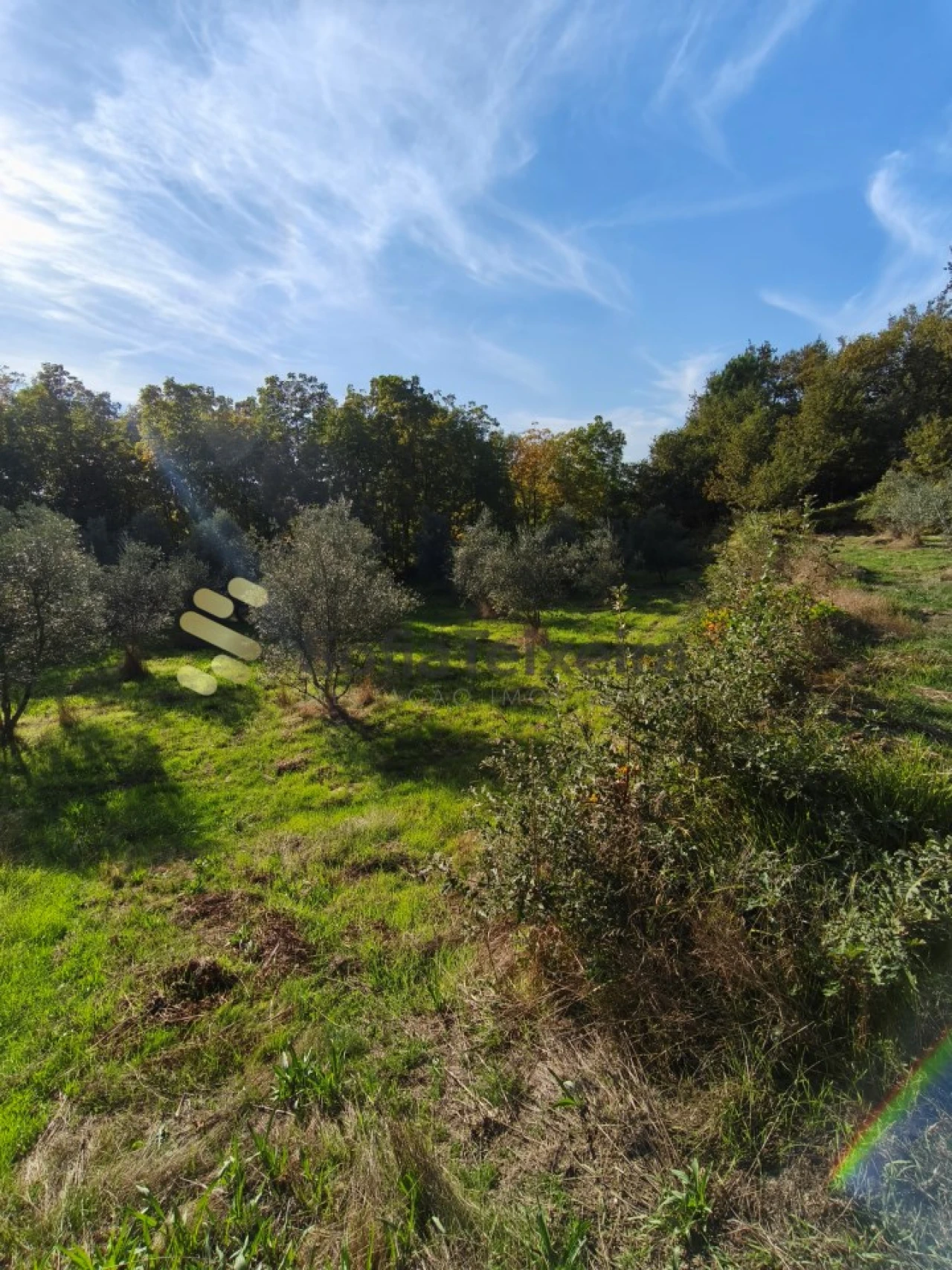 Terreno para Venda em Regadas Foto 5