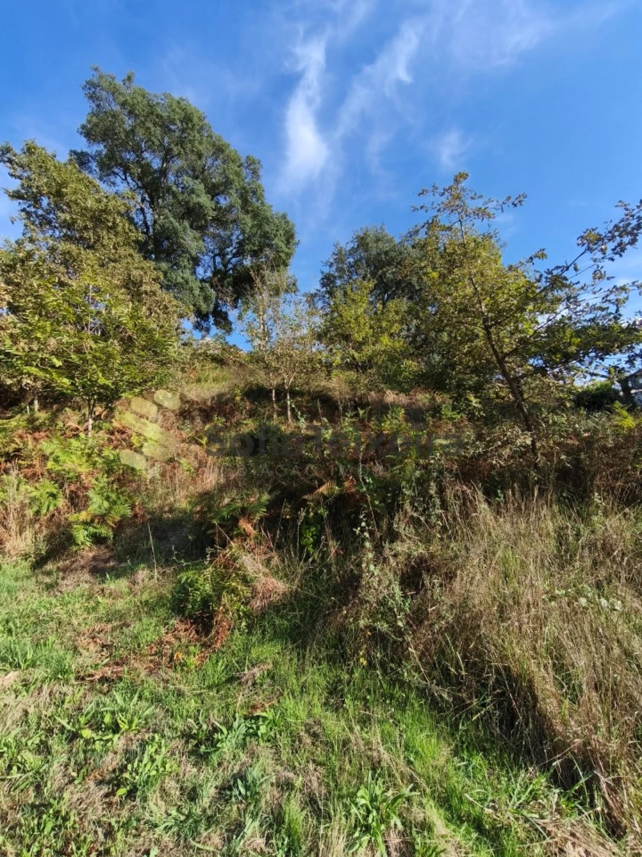 Terreno para Venda em Regadas Foto 7