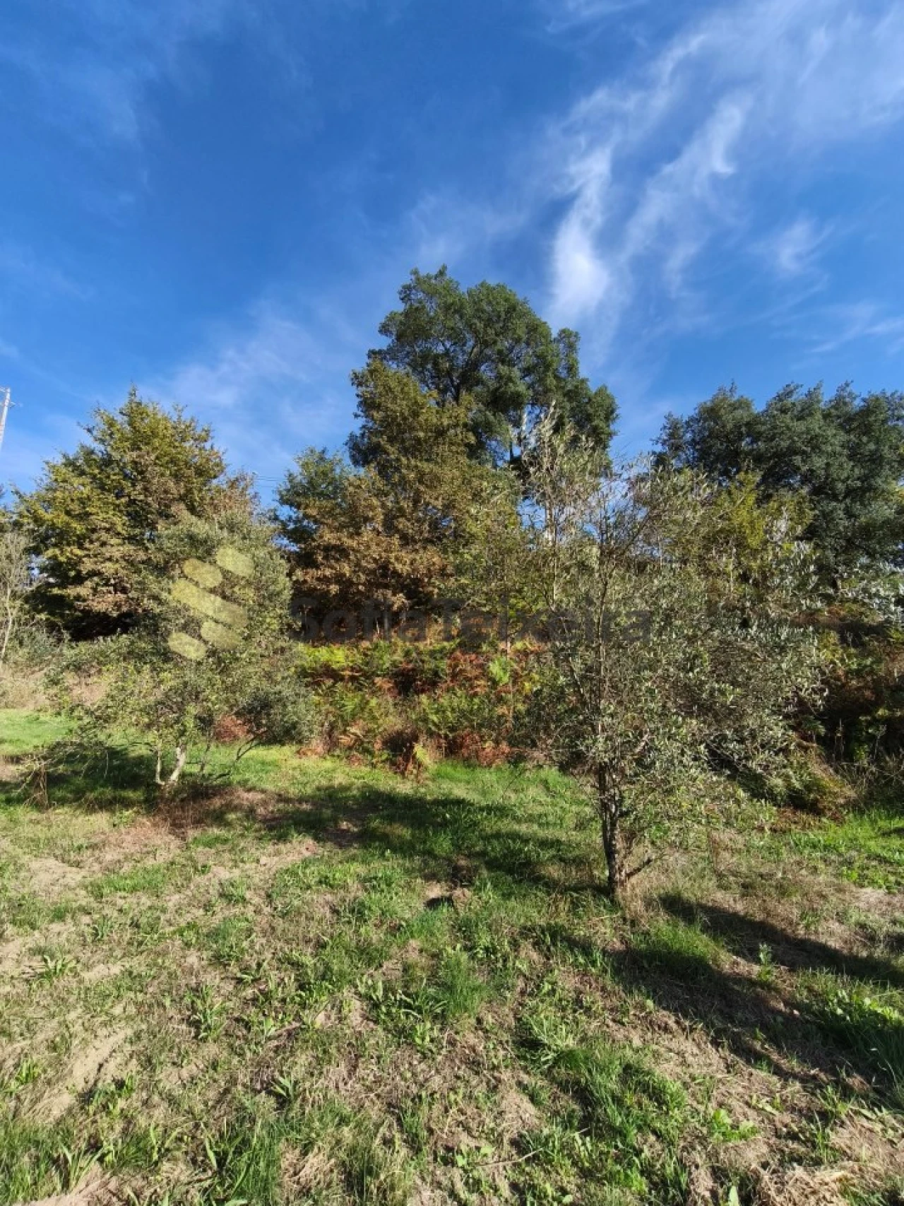 Terreno para Venda em Regadas Foto 4