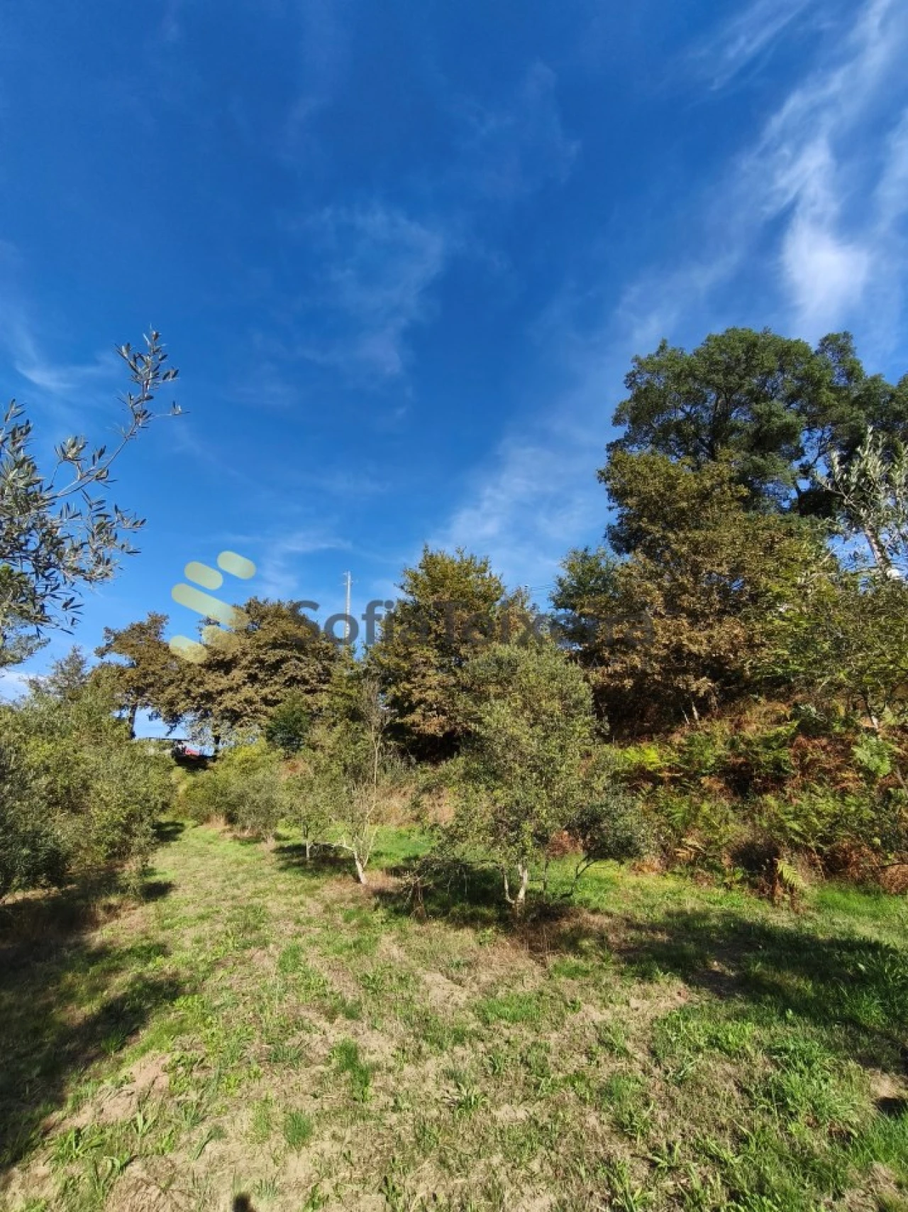 Terreno para Venda em Regadas Foto 9