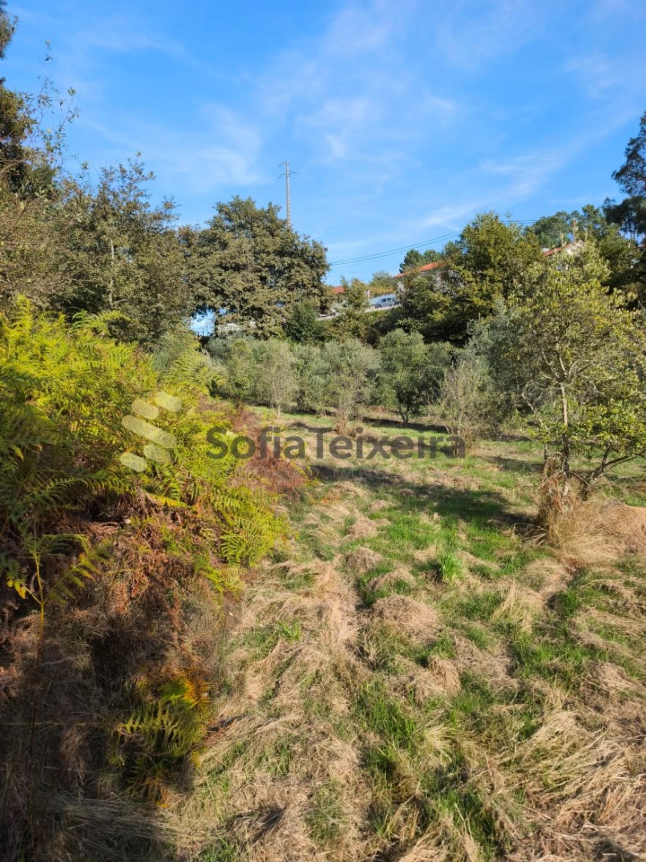 Terreno para Venda em Regadas Foto 11