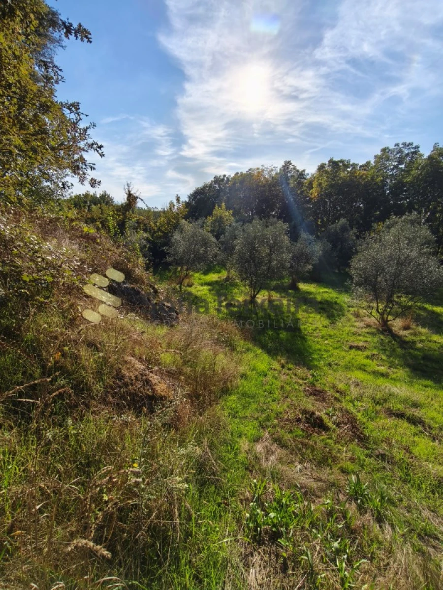 Terreno para Venda em Regadas Foto 6