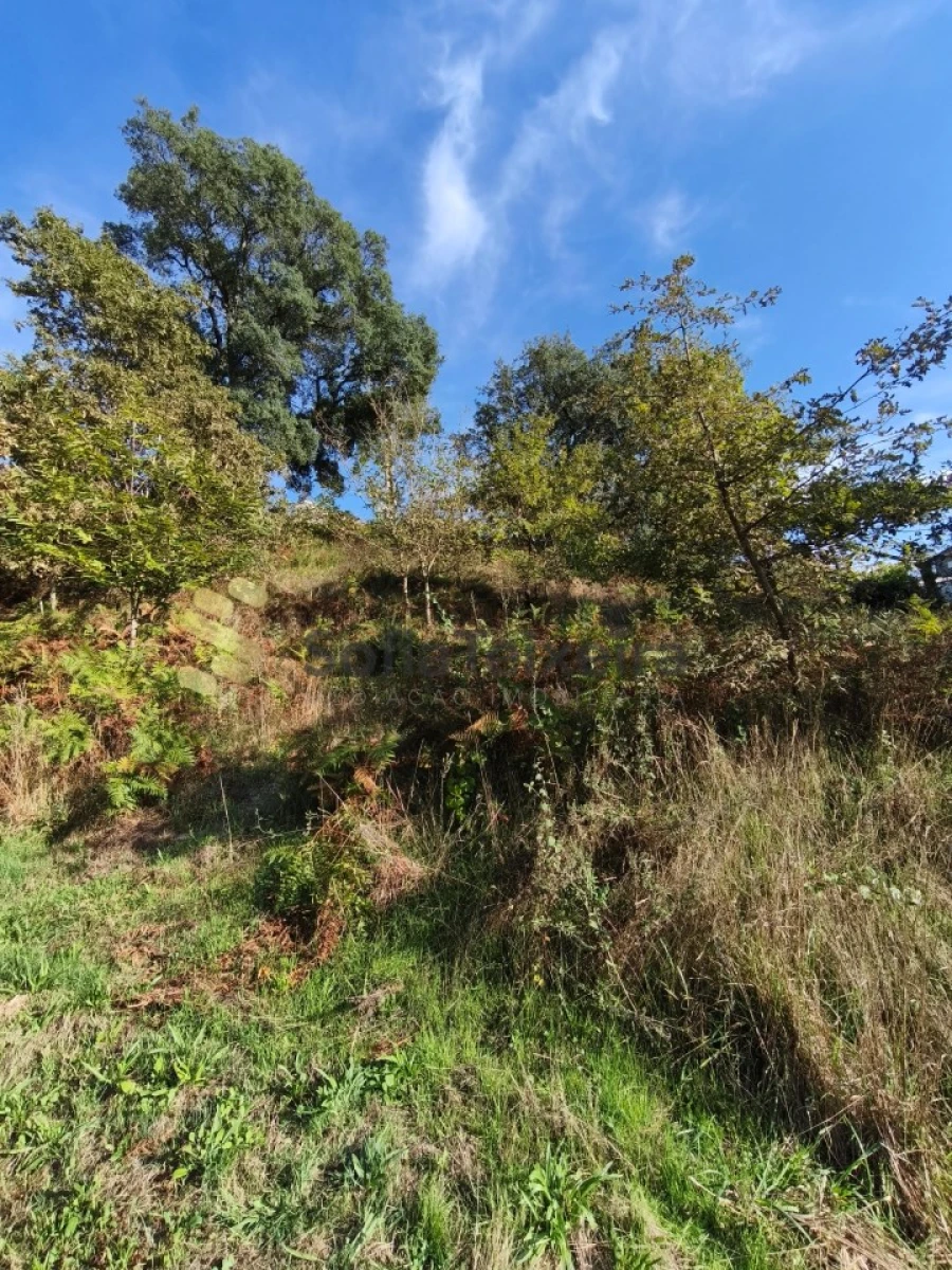 Terreno para Venda em Regadas Foto 7