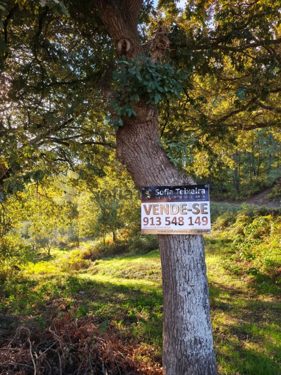 Terreno para Venda em Regadas Foto 23