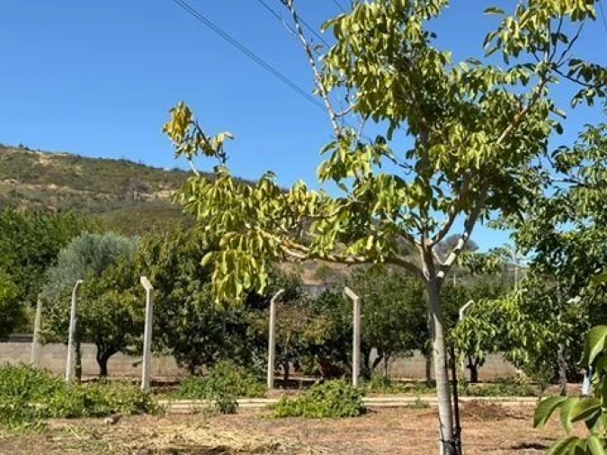 Quinta para Venda em Palmela Foto 20