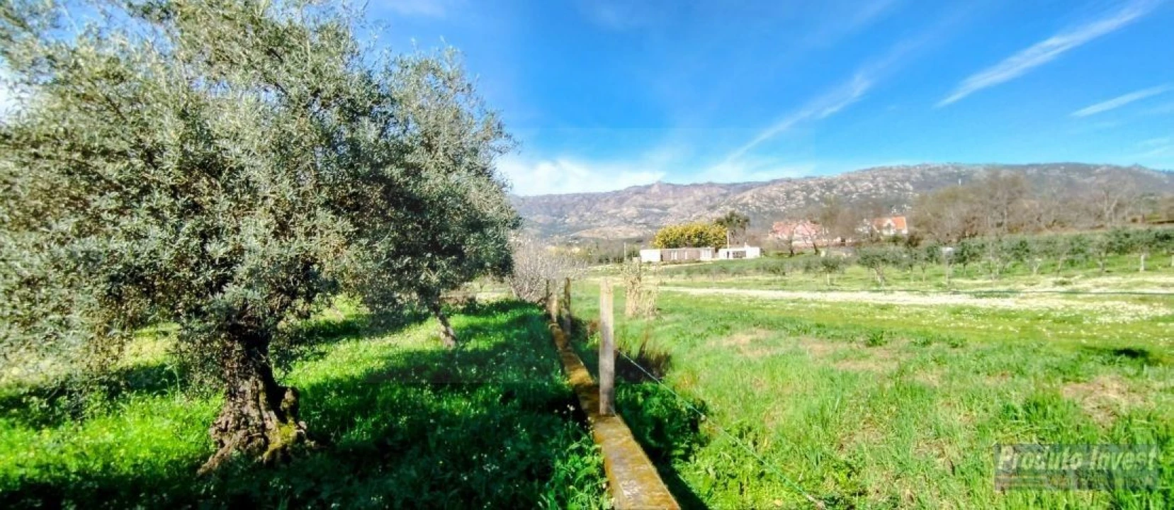 Moradia T3 para Venda em Castelo Novo Foto 23