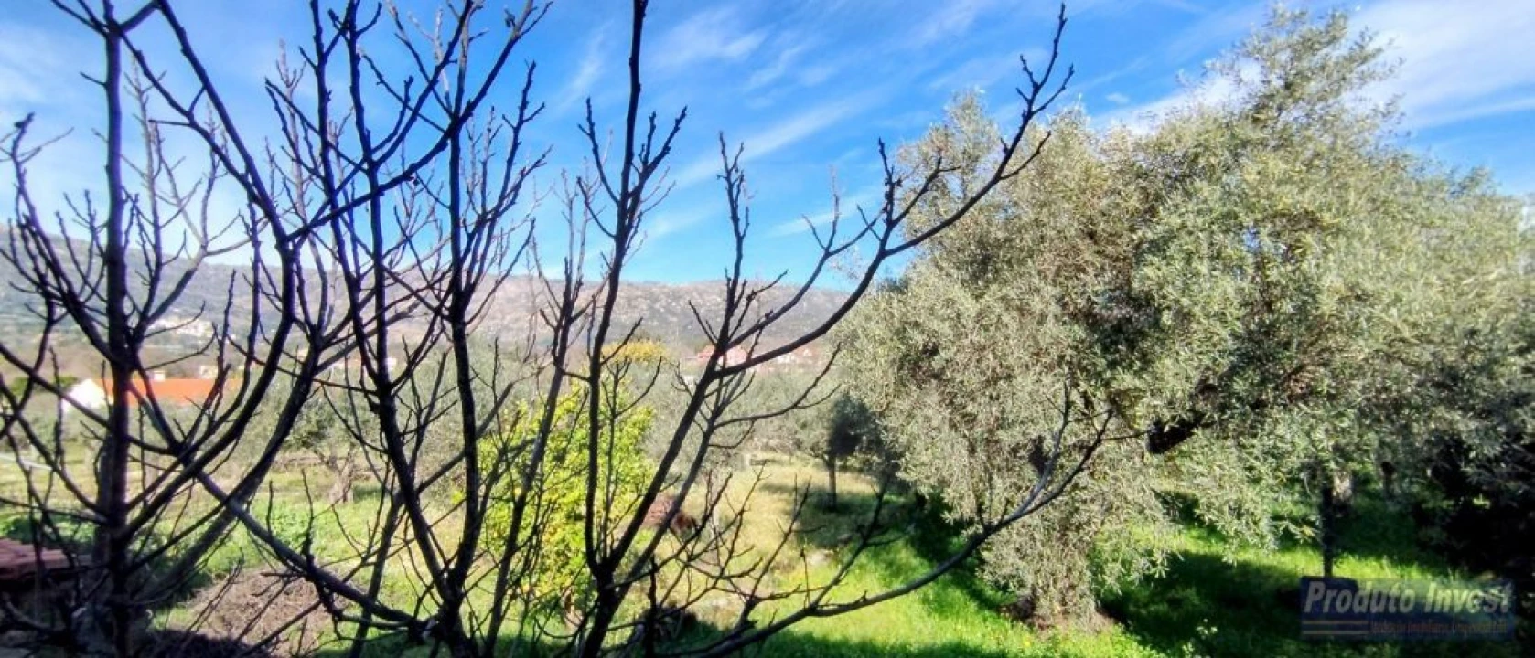 Moradia T3 para Venda em Castelo Novo Foto 12