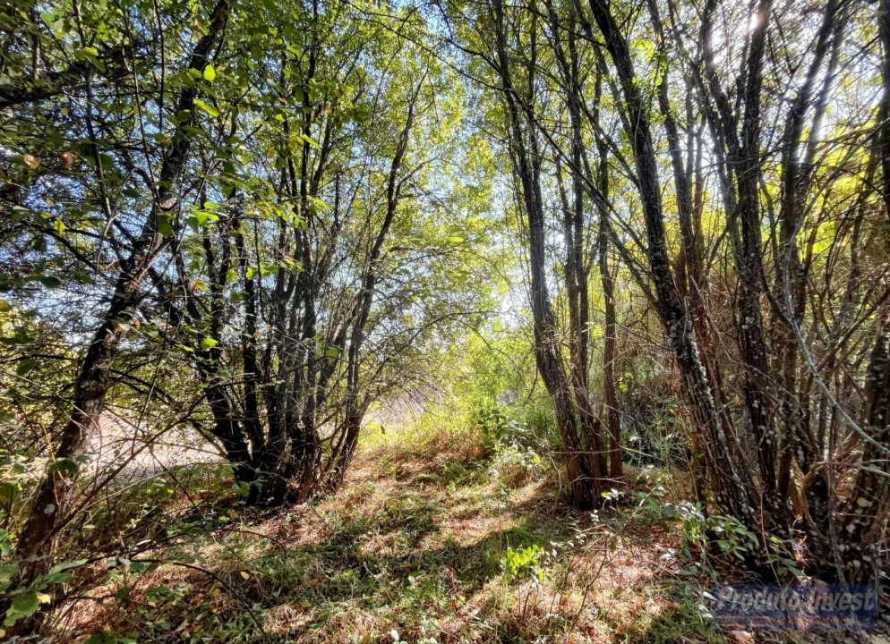 Quinta T0 para Venda em Boidobra Foto 31