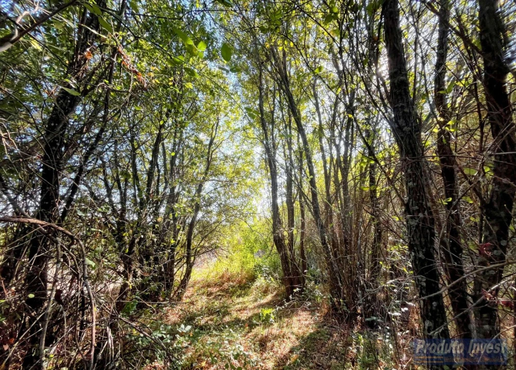 Quinta T0 para Venda em Boidobra Foto 32